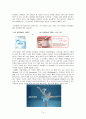 경험마케팅 그리고 경험마케팅의 예 14페이지