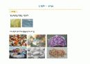 타일,돌 점토,기와의 분류,종류 20페이지