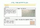 타일,돌 점토,기와의 분류,종류 24페이지