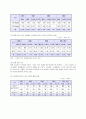 나뚜루 경영 전략 분석 4페이지