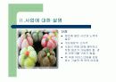 사업계획서ppt(new신개념 카페2009 hwp파일(검색)) 6페이지