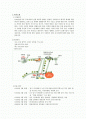 흰돌종합사회복지관 견학보고서 2페이지