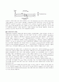 SEM(전자현미경) 2페이지