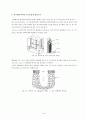 Anodizing Process (양극산화법) 17페이지