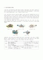 수력발전(Hydropower)에 대한 정리 9페이지