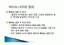 White LED  5페이지