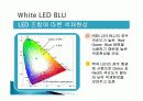 White LED  20페이지