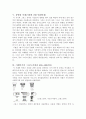 (건축)고대그리스 건축과 조각의 연대별 보고서(사진파일 포함) 4페이지