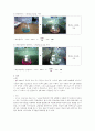 [환경화학] pH, 산도, 알칼리도 6페이지