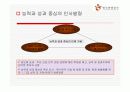 기업의 인적자원관리 시스템 분석-한국관광공사, 대한항공, 포스코 21페이지