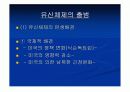 박정희 정권의 유신체제. 4페이지
