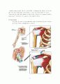 shouler op(rotator cuff tear, SLAP, bankart lesion) 5페이지