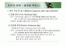 치주판막술식(periodontal flap) 5페이지