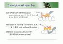 치주판막술식(periodontal flap) 12페이지