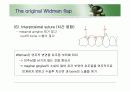 치주판막술식(periodontal flap) 13페이지