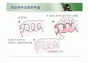 치주판막술식(periodontal flap) 41페이지
