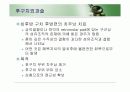 치주판막술식(periodontal flap) 46페이지