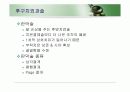 치주판막술식(periodontal flap) 48페이지