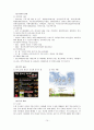 교회의 자원을 이용한 지역사회복지 15페이지