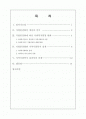 지방분권화와 지역사회복지 2페이지