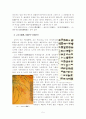 청(淸) 중기의 양주팔괴(揚州八怪) 5페이지
