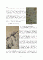 청(淸) 중기의 양주팔괴(揚州八怪) 7페이지
