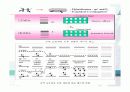 유기 반도체 (Organic Semiconductor) 10페이지