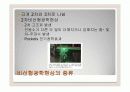 비선형광학 (Non-linear Optics) 7페이지