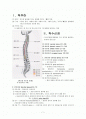 척수 손상 환자의 간호 1페이지