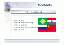 브릭스의 성장과 미래 2페이지