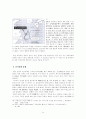 중일외교정치관계 14페이지