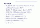마담보바리 감상 4페이지