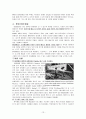 [경영학원론]기업의 사회적책임과 'SK텔레콤'의 사회공헌활동 사례분석  13페이지