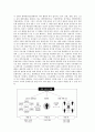Tourism Technology  18페이지