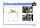 인간공학 - 근골격계 질환 15페이지