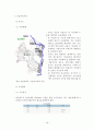 우리나라 부동산개발 문제점에 대한 화성동탄신도시 사례조사 및 문제해결 방안 검토 20페이지