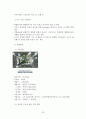 우리나라 부동산개발 문제점에 대한 화성동탄신도시 사례조사 및 문제해결 방안 검토 25페이지