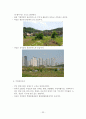 우리나라 부동산개발 문제점에 대한 화성동탄신도시 사례조사 및 문제해결 방안 검토 35페이지