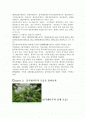 스포츠 현장에서의 목재의 이용 2페이지