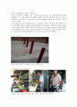 스포츠 현장에서의 목재의 이용 12페이지