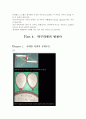 스포츠 현장에서의 목재의 이용 22페이지