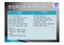 호텔산업의 이해(리조트호텔 분석) 26페이지