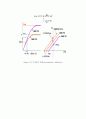 Enzyme kenetics는 효소에 의해 촉매 28페이지