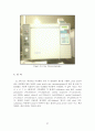 Biodiesel 생성을 통한 Trans-Esterification 촉매반응에 관련된 결과보고서 32페이지