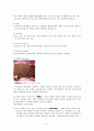 기능성_식품의_기능과_종류 4페이지