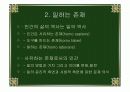 삶과 철학- 호모 라보란스의 꿈 6페이지
