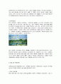 도시주택정책의_성공사례  7페이지