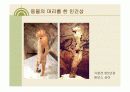 미술의 기원 미술의 이해 14페이지