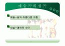 현대미술의 범위와 개념 미술의 이해 18페이지