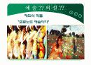 현대미술의 범위와 개념 미술의 이해 21페이지